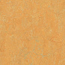 Линолеум Forbo Marmoleum Decibel on Order 384735 golden saffron  | FLOORDEALER